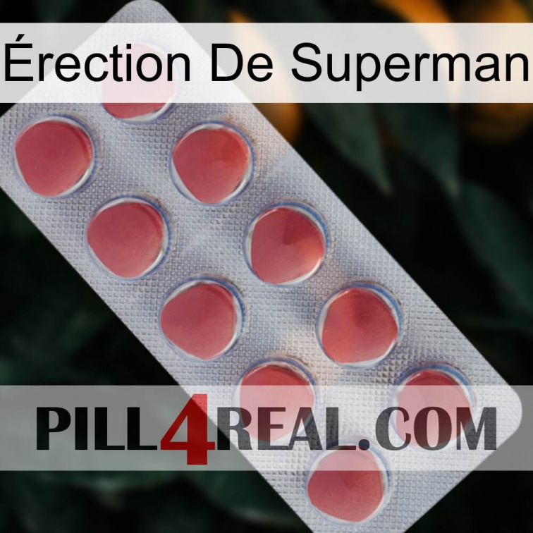 Érection De Superman 18
